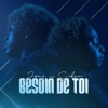 Besoin de toi - Single (feat. Sikem) - Single