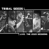 Live: The 2020 Sessions artwork