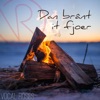 Dan Brânt It Fjoer - Single