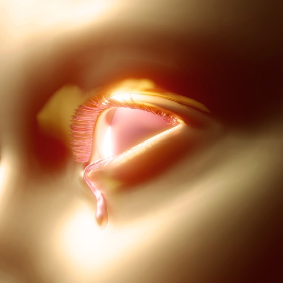 Cover artwork for Burning