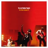 Les Cactus by The Last Shadow Puppets