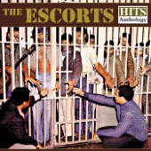 The Escorts - I Can't Stand (To See You Cry)