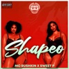 Shapeo (feat. Mc Bushkin) - Single