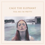 Trouble by Cage the Elephant