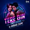 Tere Bin Unplugged By Akbar Sami - EP album lyrics, reviews, download