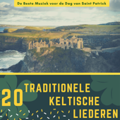 20 Traditionele Keltische Liederen - De Beste Muziek voor de Dag van Saint Patrick - Patrick Dag