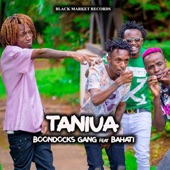 Taniua (feat. Bahati) artwork