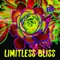 Limitless Bliss - FIS lyrics