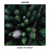 Inside the Forest - Single