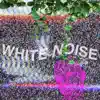 White Noise - Single album lyrics, reviews, download
