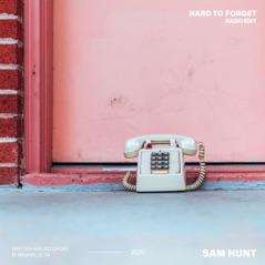 Hard to Forget (Radio Edit) - Single