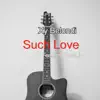 Such Love (feat. Bosalin) - Single album lyrics, reviews, download