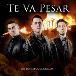 Te Va Pesar by Los Bohemios de Sinaloa album reviews, ratings, credits