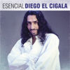Esencial Diego "El Cigala" - Diego El Cigala