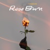 Rose Burn - Single