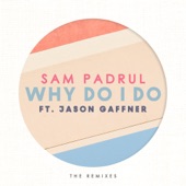 Why Do I Do (La Felix Remix) [feat. Jason Gaffner] artwork