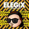 Elegix (Remix) song lyrics