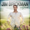 Jim Brickman & Friends artwork