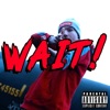 Wait! - Single