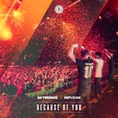 Because of You (Extended Mix) artwork