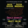Bye Bye Birdie (Original Broadway Cast Recording) artwork