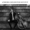 Anders Fjeldsted - Shinjuku