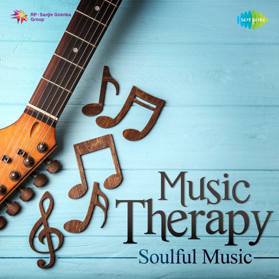 Cover artwork for Maula Mere Maula (From "Anwar")