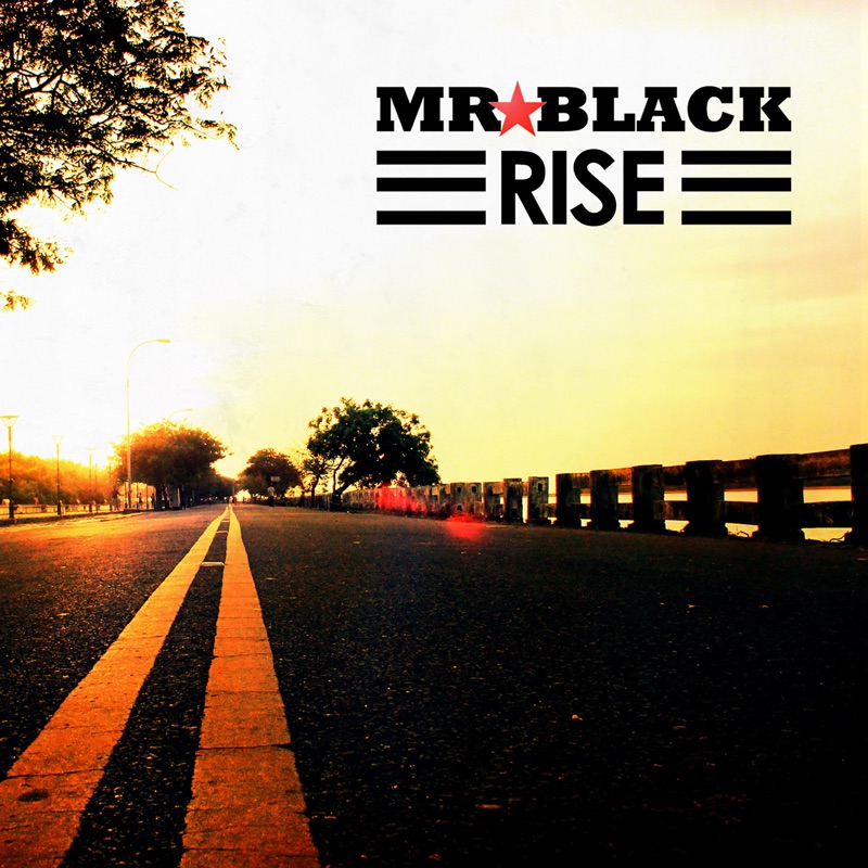 Альбом Rise. Rise песня. Rise музыка. Все треки Rise.