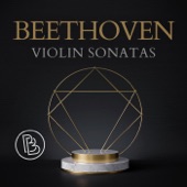 Violin Sonata No. 1 in D Major, Op. 12: III. Rondo (Allegro) artwork