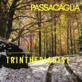 Suite No. 7 in G Minor, HWV 432/6: VI. Passacaglia artwork