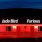 Furious - Jade Bird lyrics