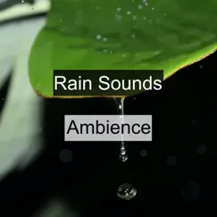 Rain Sounds Ambience by Rain Sounds album reviews, ratings, credits
