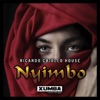 Nyimbo - Single