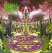 Morbid Angel - Where the Slime Live