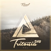 Tritonia 318 artwork