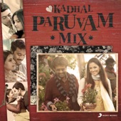 Kadhal Paruvam Mix artwork