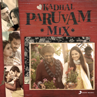 Various Artists - Kadhal Paruvam Mix artwork