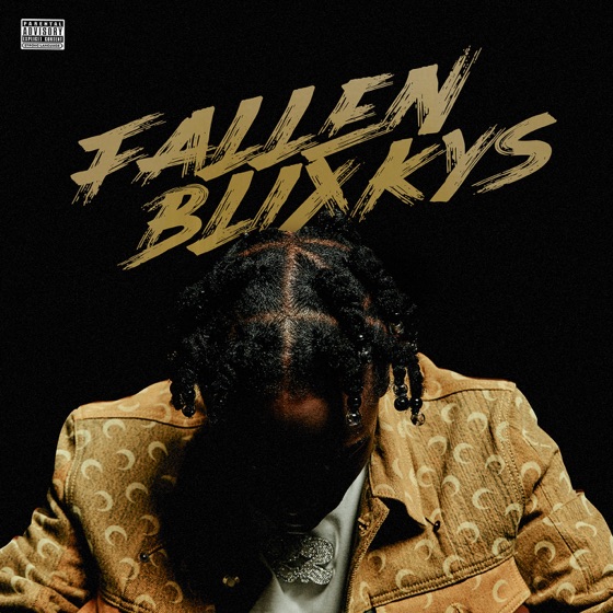Cover artwork for Fallen Blixkys