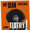 Testify (feat. Crystal Waters) - EP album lyrics, reviews, download