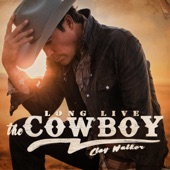 Long Live the Cowboy artwork