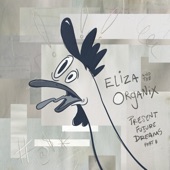 Eliza and the Organix - Broken Sky