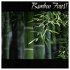 Bamboo Forest