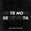 Se Te Nota (Remix) song lyrics