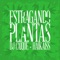 Estragando Plantas - DJ Caique & Haikaiss lyrics