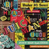 Under Mi Sensi (feat. UUUU) artwork