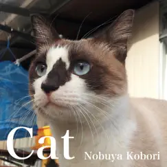 Cat (DX-7 Bell Piano Version) - Single by Nobuya Kobori album reviews, ratings, credits