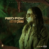 Red Fox - Let It Grow