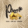 Promise (feat. Shane Skull & Wire Brain) - Single