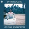 Do the Romp - Junior Kimbrough lyrics