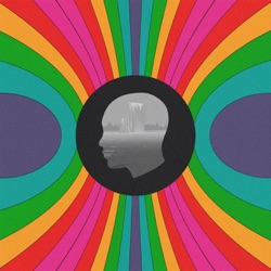 The Motet - Highly Compatible